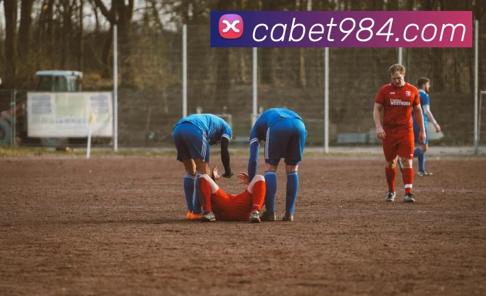 cabet亚州城平台生态图